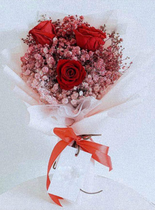 Red snow _ ثلج أحمر