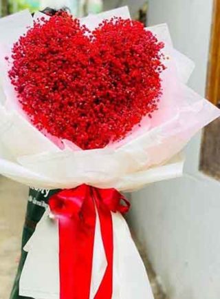 قلب الحب _ love heart