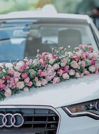 ورد وردي _ Pink rose