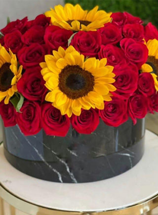 Sun box _ بوكس الشمس